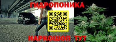 jwh Краснознаменск