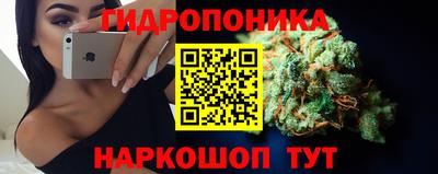 прущие грибы Краснокаменск